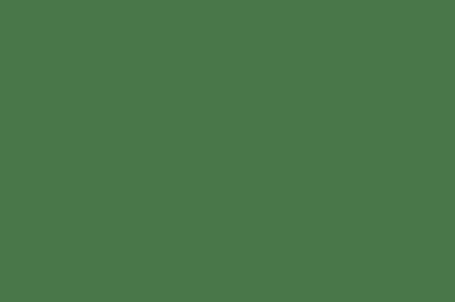 St. Patrick’s Day Senior Luncheon, Saturday, March 18th